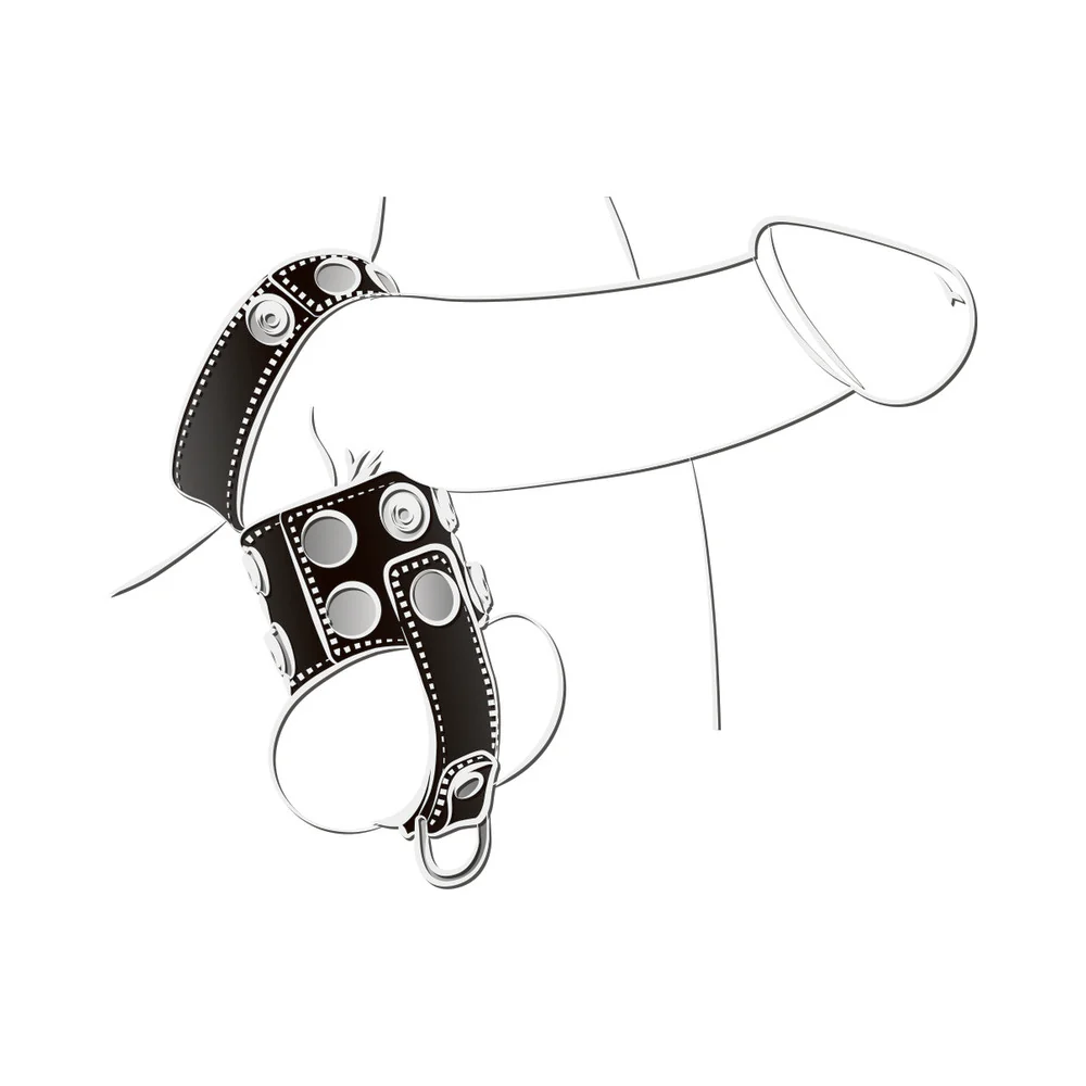 Ballgear Ball Stretcher With Separator & D-Ring - Black - Image 4