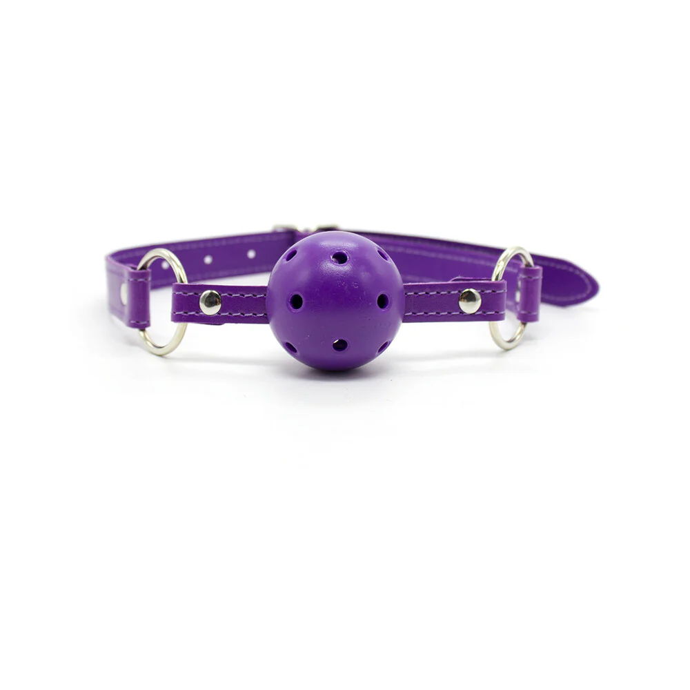 Ple'sur 12-Piece Everything Bondage Kit Purple - Image 8
