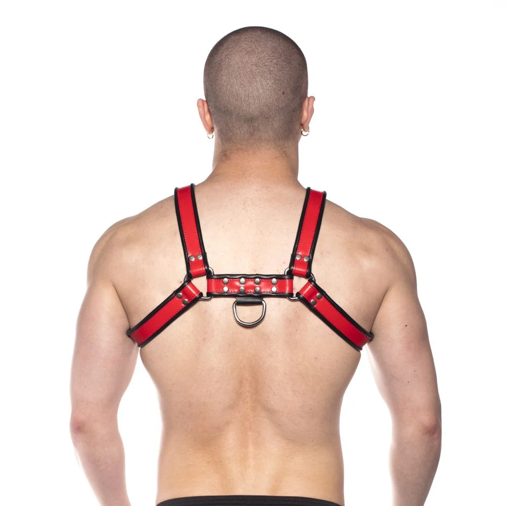 Prowler RED Bull Harness Black/Red XL - Image 3