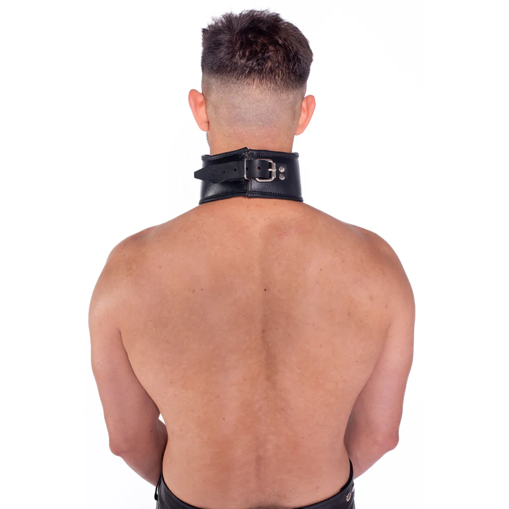 Prowler RED Leather Posture Collar L/XL - Image 3