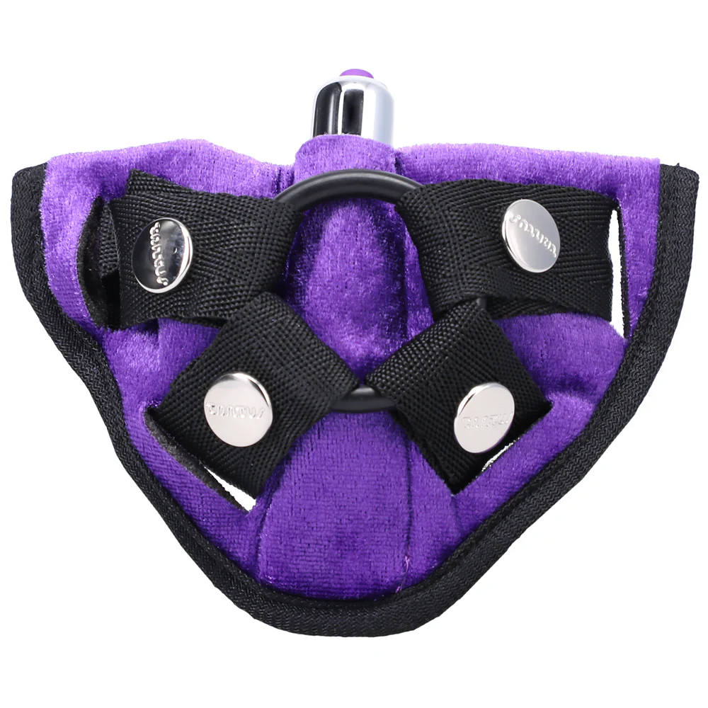 Tantus Bend Over Intermediate Strap-On Harness Kit Lavender - Image 3